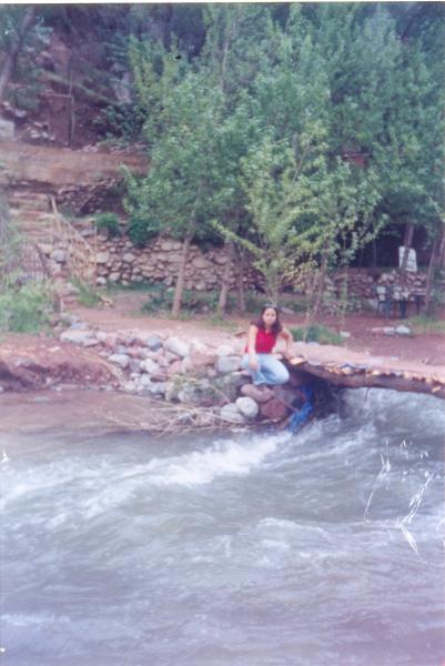 wrika